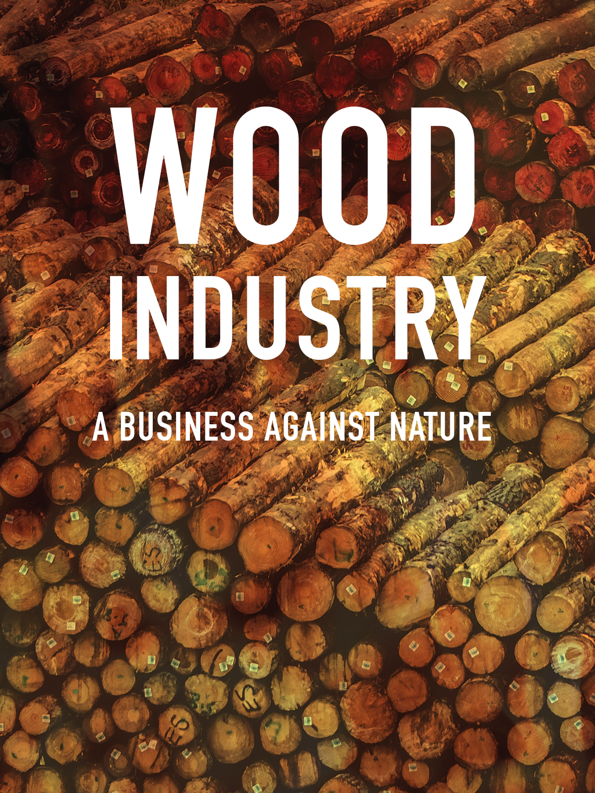 Wood Industry: A Business Against Nature